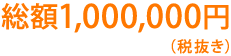総額1,000,000円(税抜き)